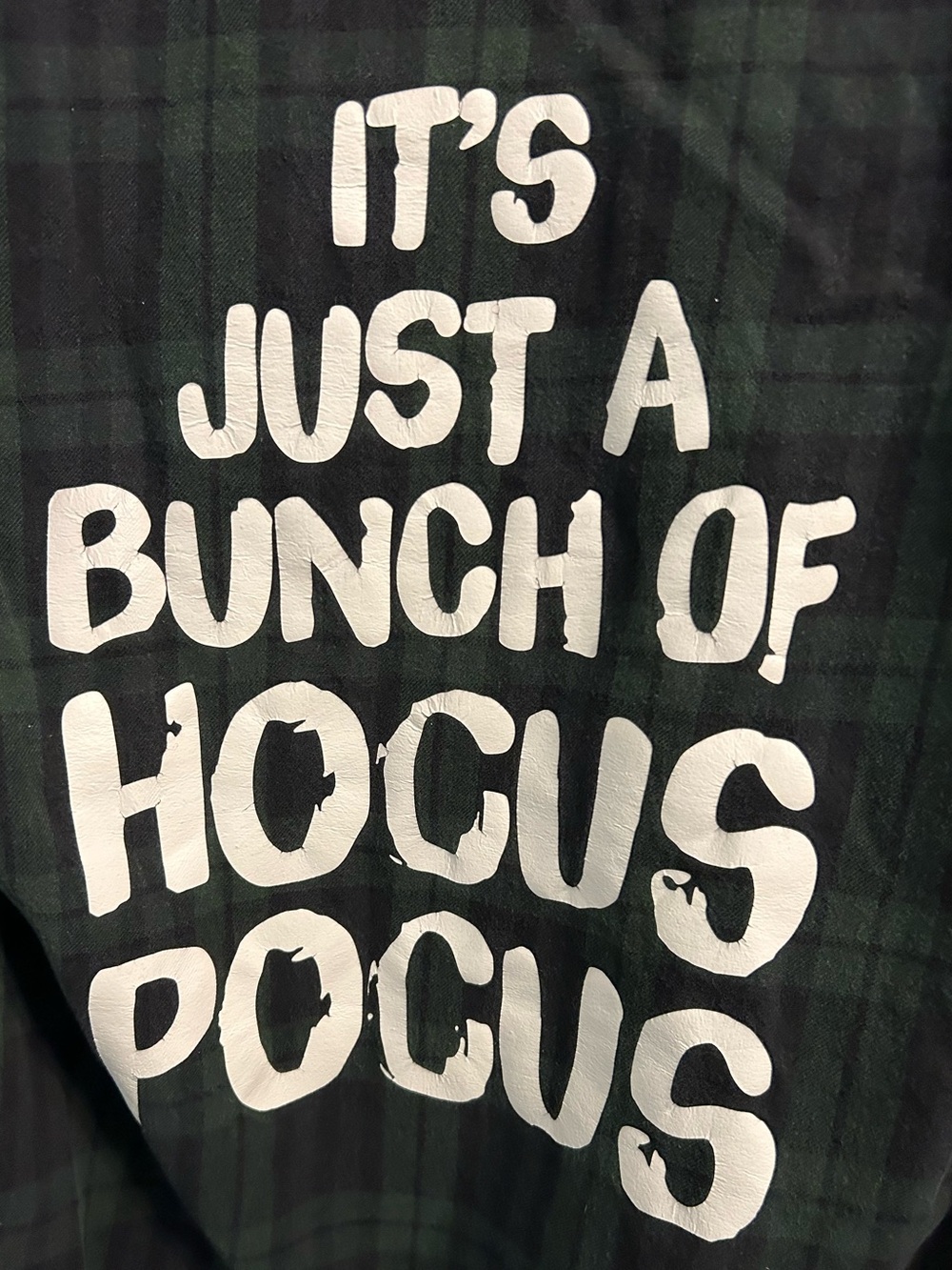 It’s Just a Bunch of Hocus Pocus Disney Dark Green Plaid Flannel Men’s Medium